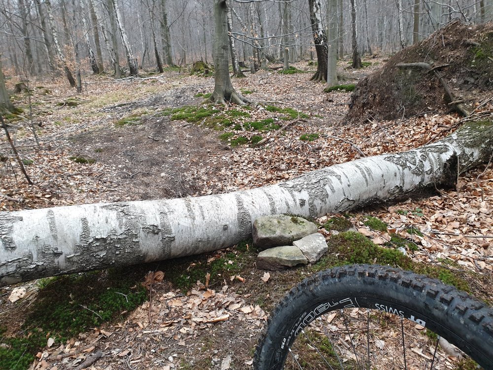 20190322_164839.jpg