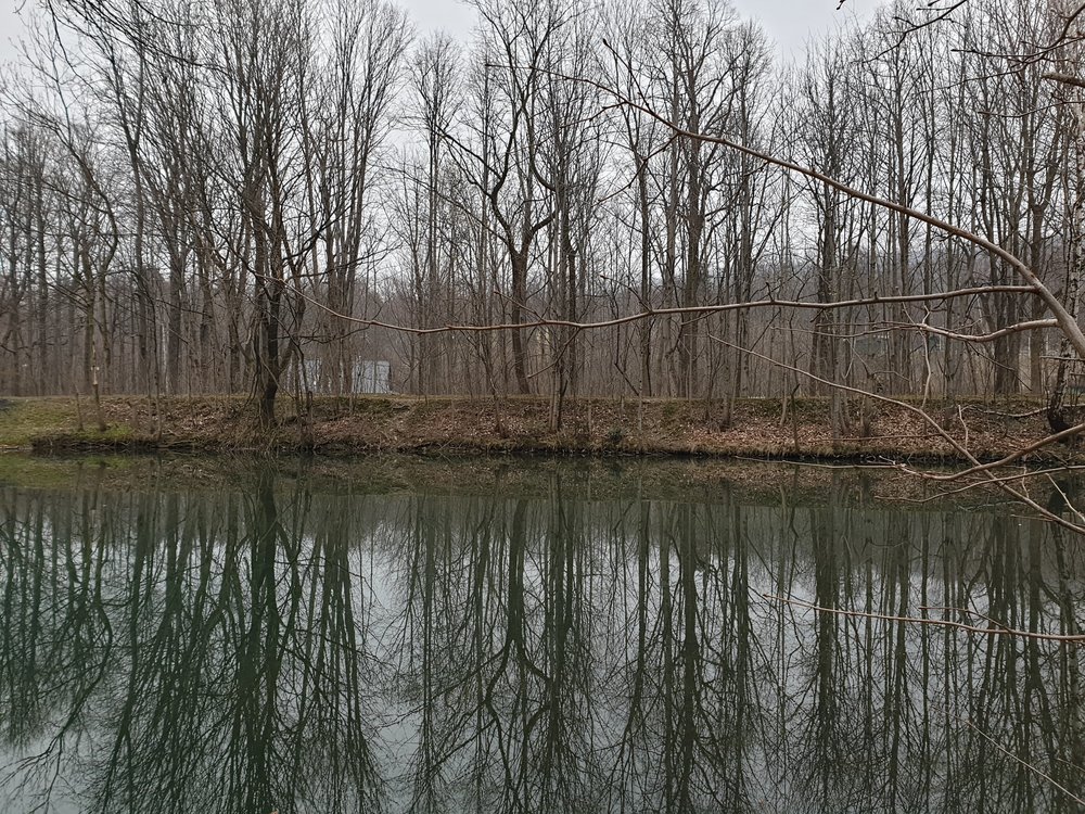 20190322_165722.jpg