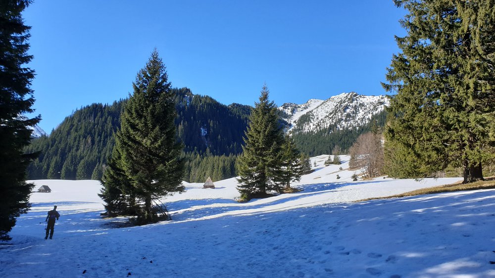 20190323_091025.jpg