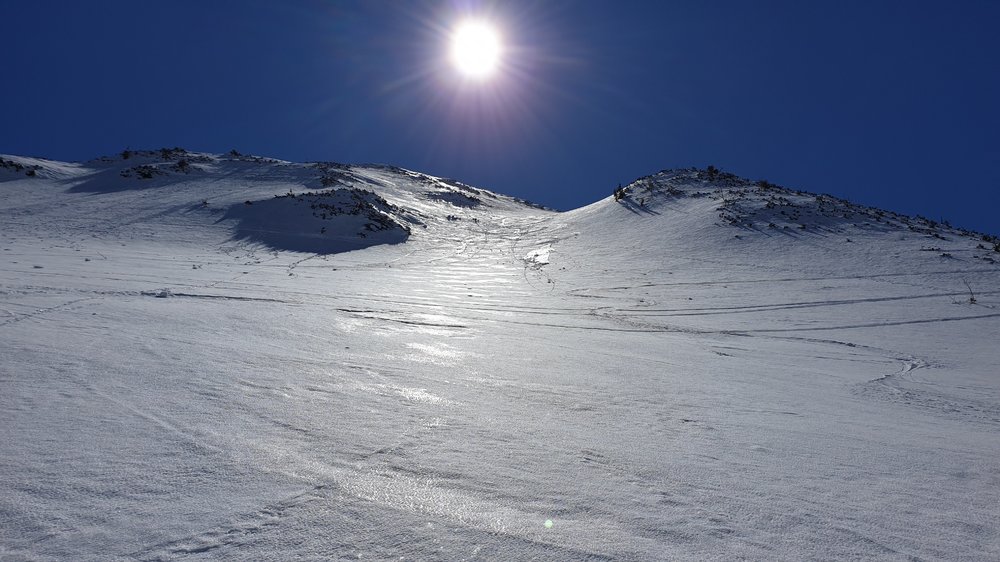 20190323_120004.jpg
