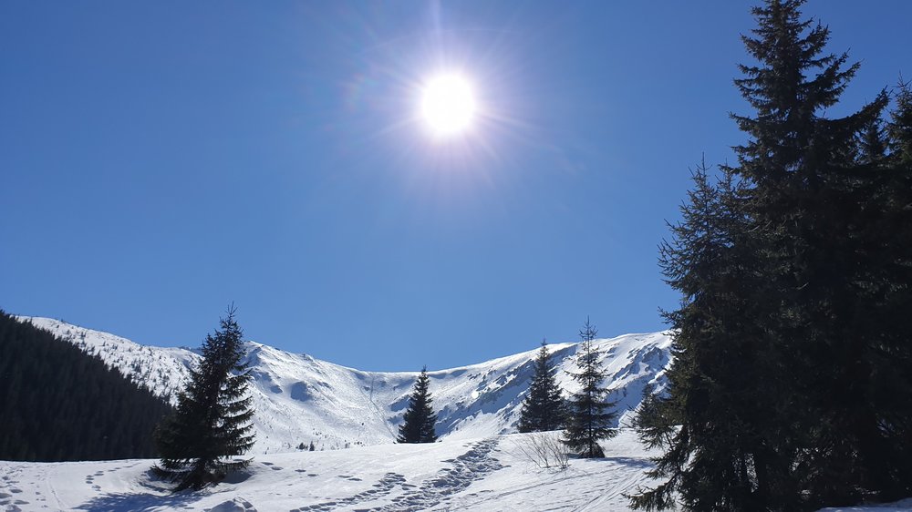 20190323_133022.jpg