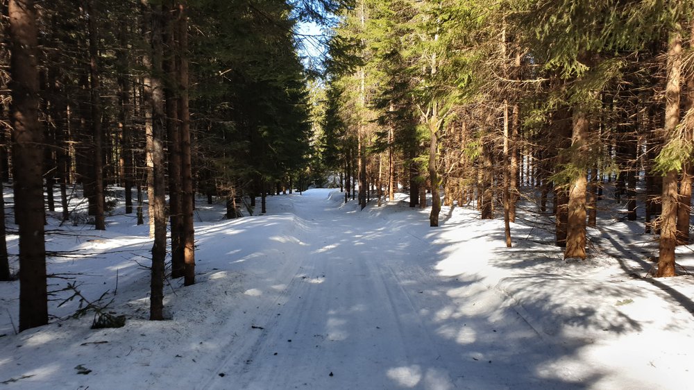 20190323_135204.jpg