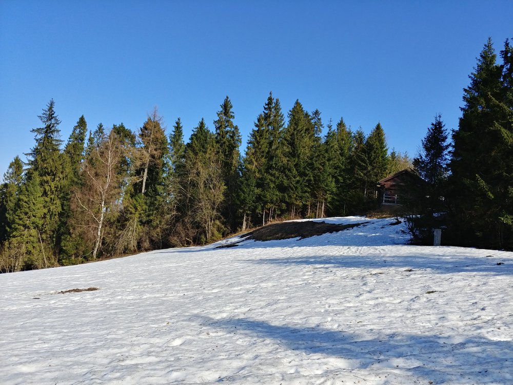 20190323_150926_HDR.thumb.jpg.24696a69c9c576ff7f2f0584df54e4d4.jpg