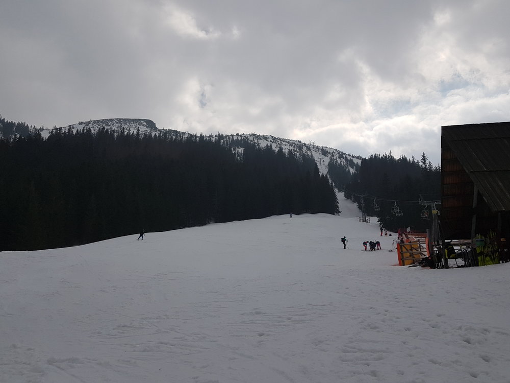 20190324_105333.jpg