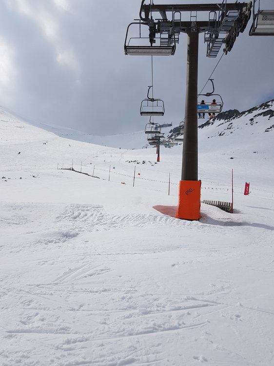 20190324_122439.jpg