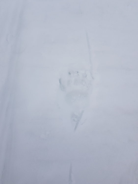 20190324_130721.jpg