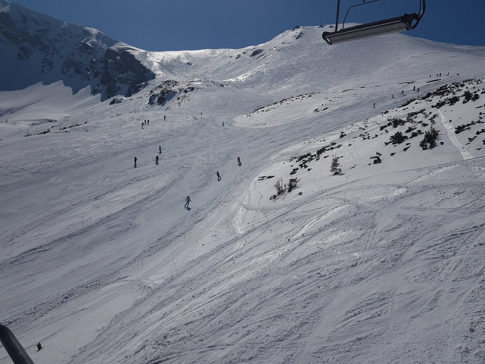 20190331_125746.jpg
