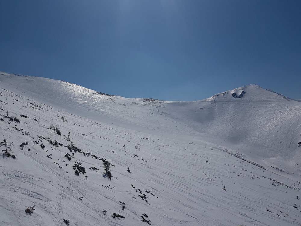 20190331_133753.jpg