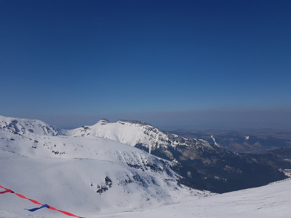 20190331_134610.jpg