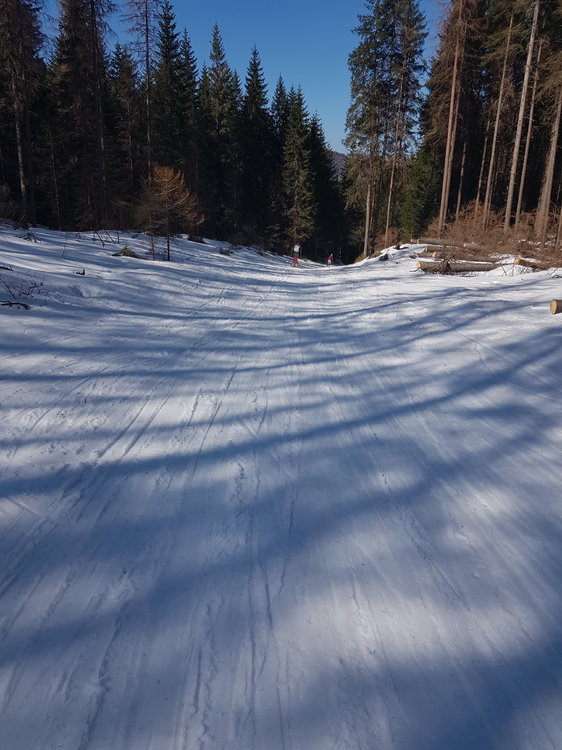 20190331_143301.jpg