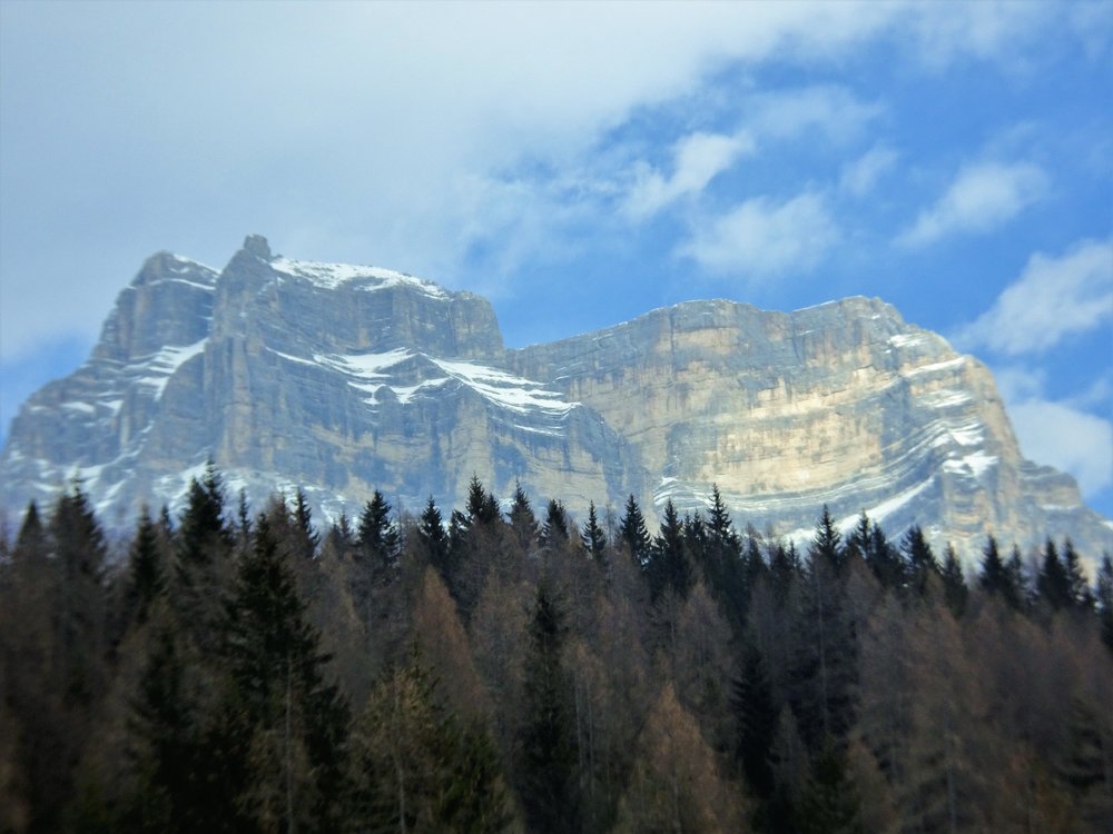 37.thumb.JPG.4c4224c1f43a460b2e37f61bcb561ce4.JPG