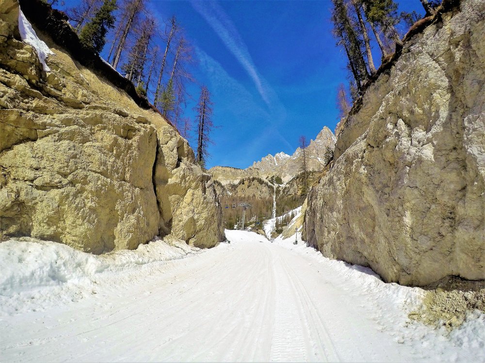 52.thumb.JPG.3cf6d85dc12562caa58af3d37f16dfb7.JPG