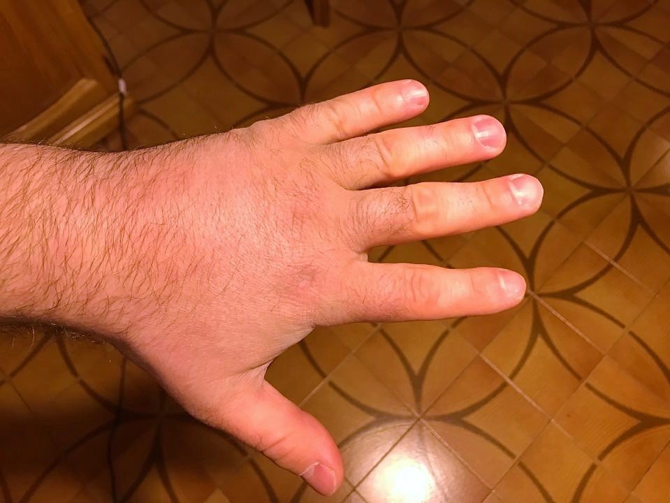 53528428_385324935380815_5355443048354414592_n.jpg.58e36fe21b8b0296c9f46b6ff330eb44.jpg