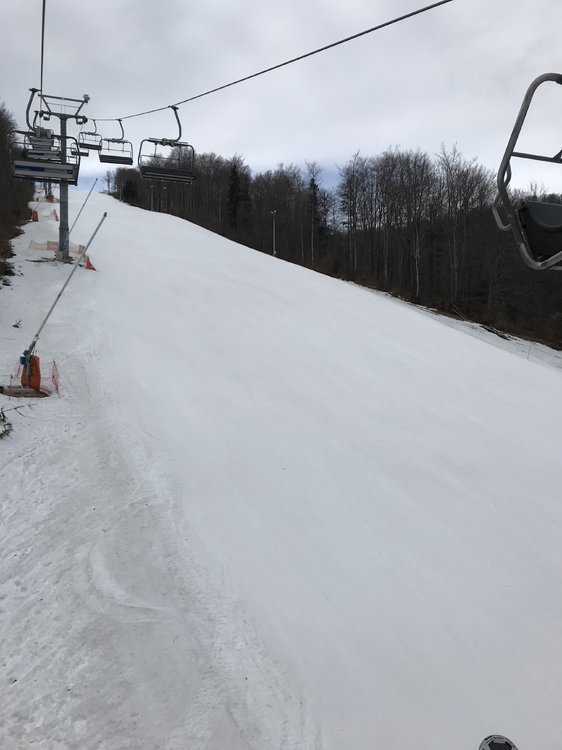 59C68252-B00C-4282-A79D-67AD9810103B.jpeg