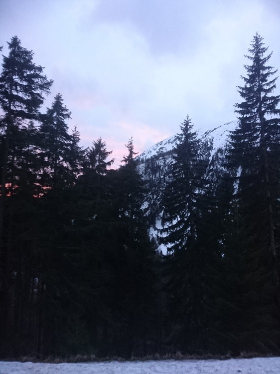 DSC_5272.JPG
