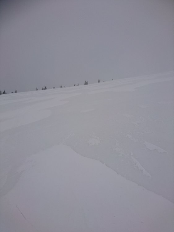 DSC_5343.JPG