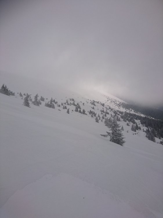 DSC_5345.JPG