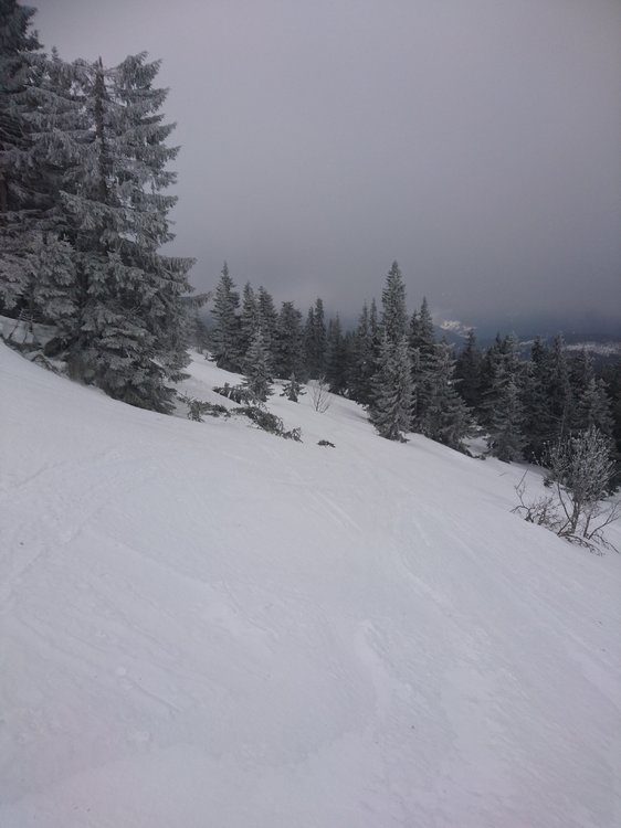 DSC_5350.JPG