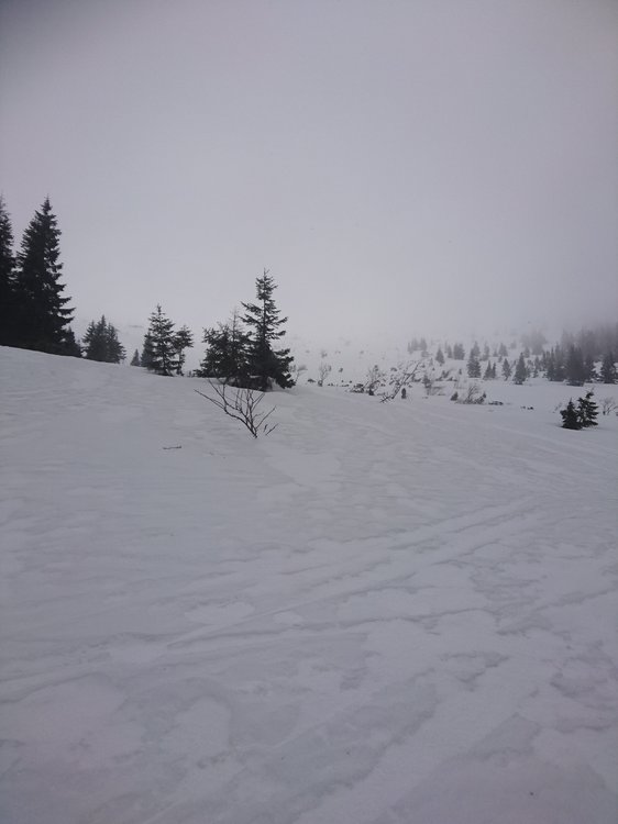 DSC_5352.JPG