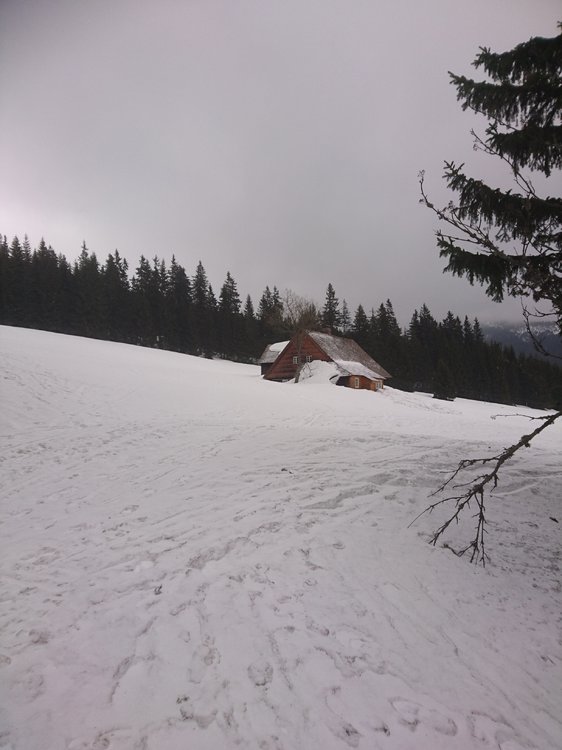 DSC_5362.JPG