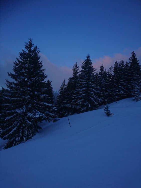 DSC_5455.JPG