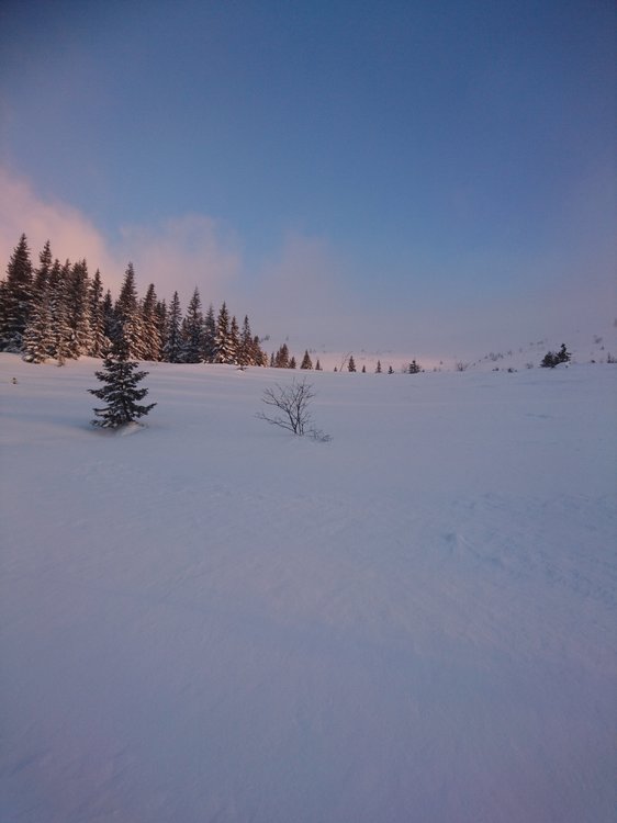 DSC_5470.JPG