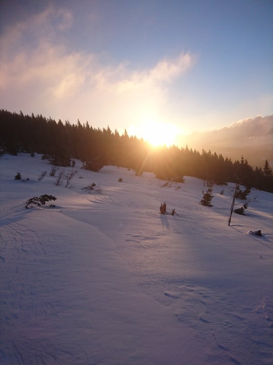 DSC_5472.JPG