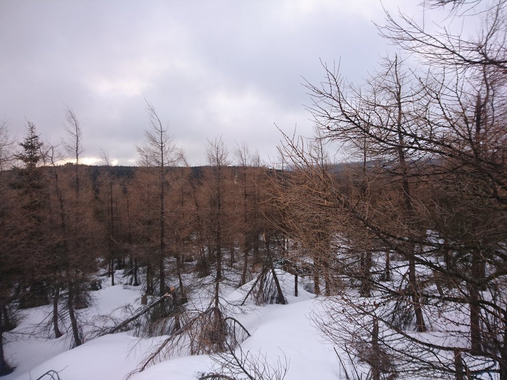 DSC_5666.JPG
