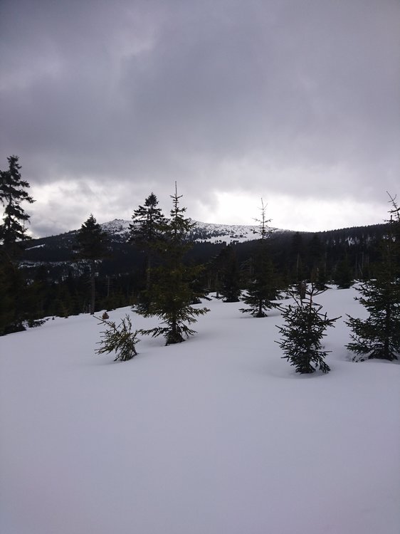 DSC_5747.JPG