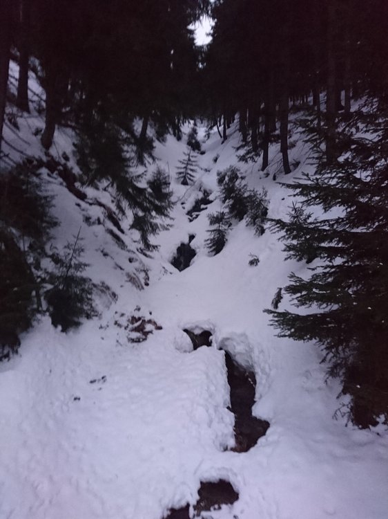 DSC_5843.JPG