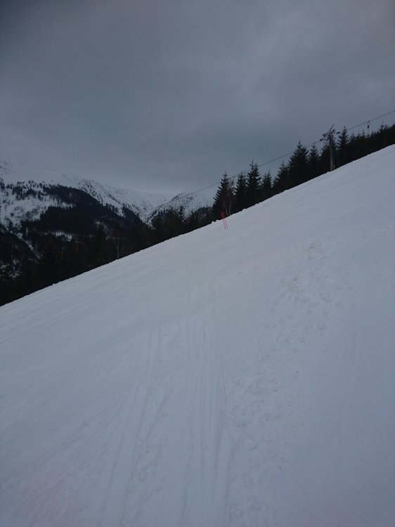 DSC_5859.JPG