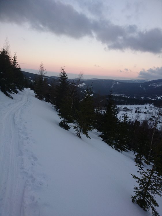 DSC_5867.JPG