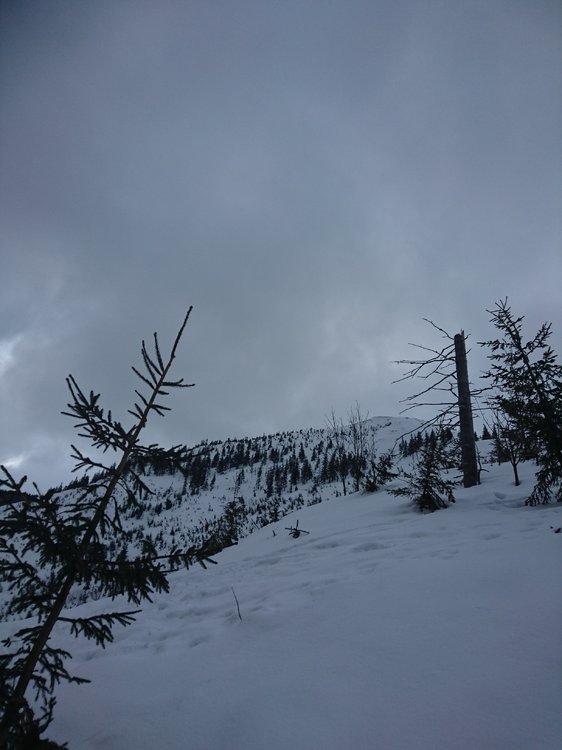 DSC_5878.JPG