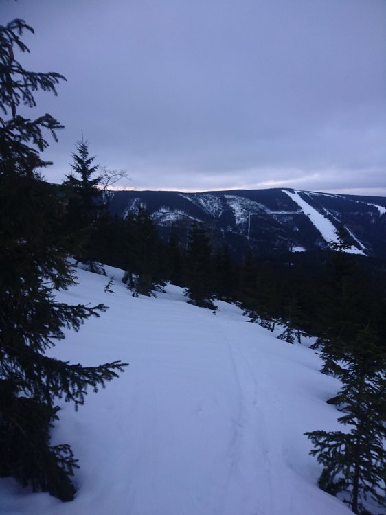 DSC_6052.JPG