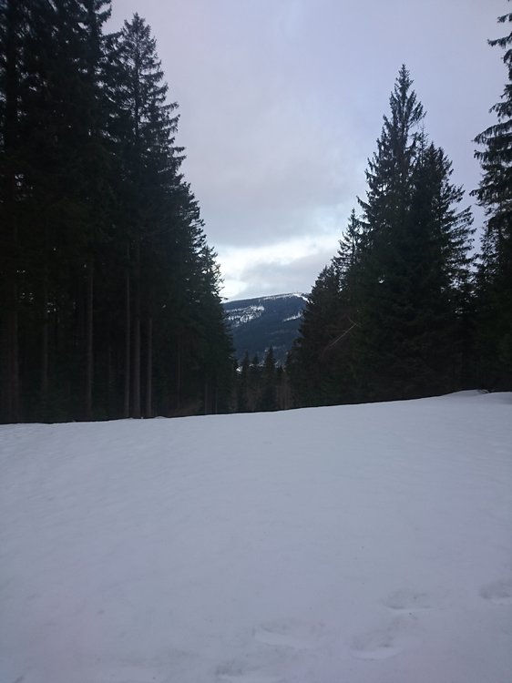 DSC_6069.JPG
