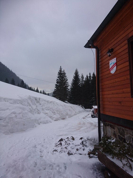 DSC_6285.JPG