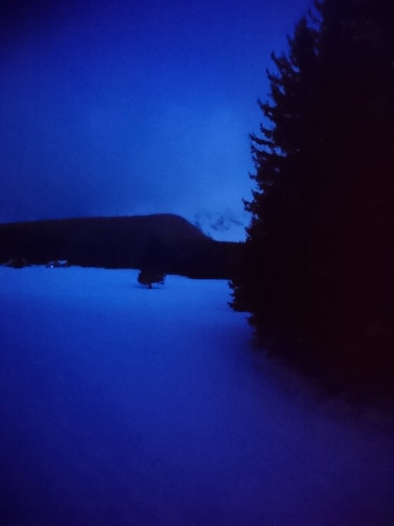 DSC_6315.JPG