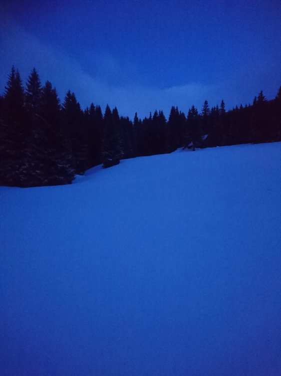 DSC_6327.JPG