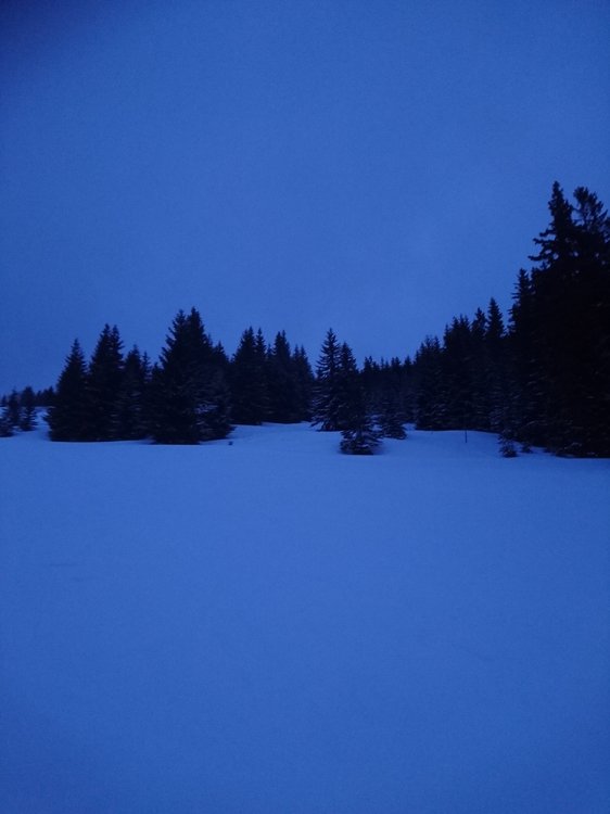 DSC_6345.JPG