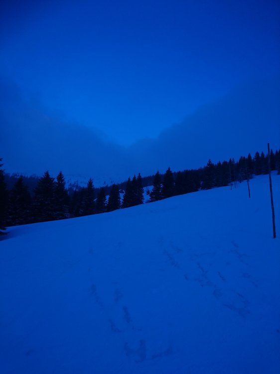 DSC_6361.JPG