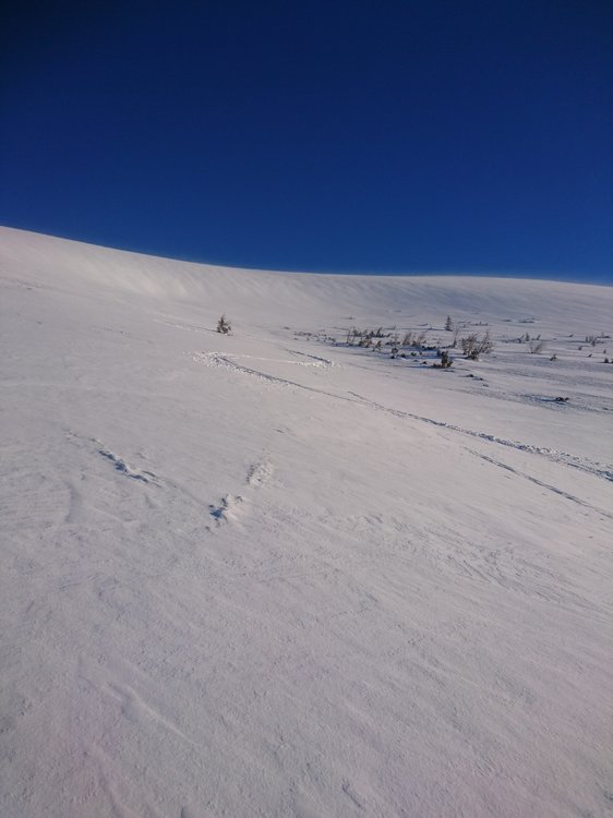 DSC_6483.JPG