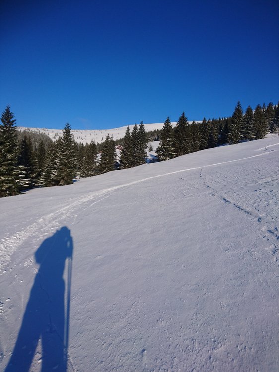 DSC_6495.JPG