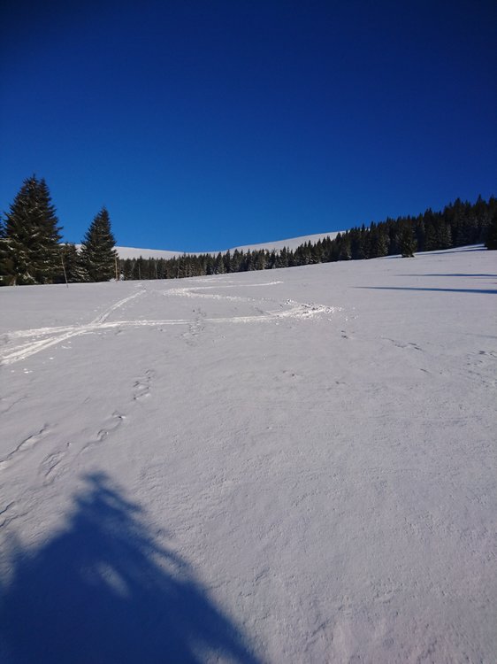 DSC_6498.JPG