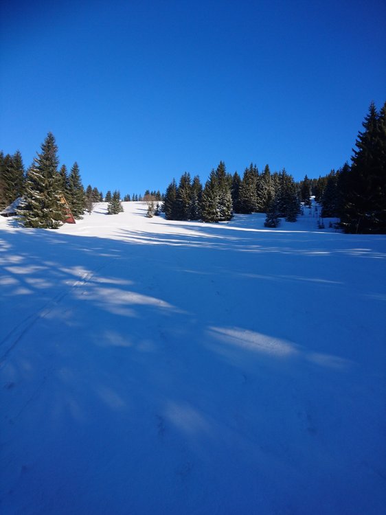 DSC_6504.JPG