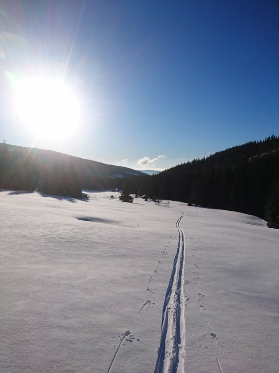 DSC_6506.JPG