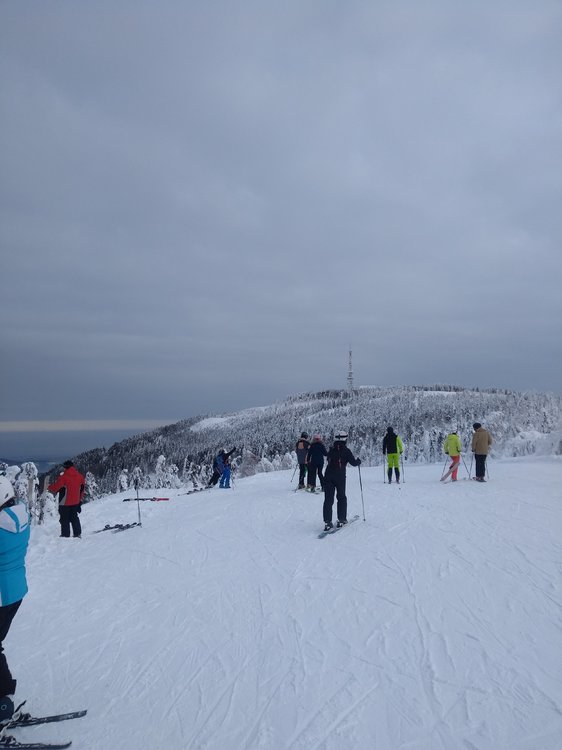 IMG_20190120_095837085.jpg