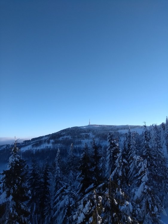 IMG_20190123_090106208.jpg