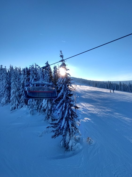 IMG_20190123_090110389_HDR.jpg