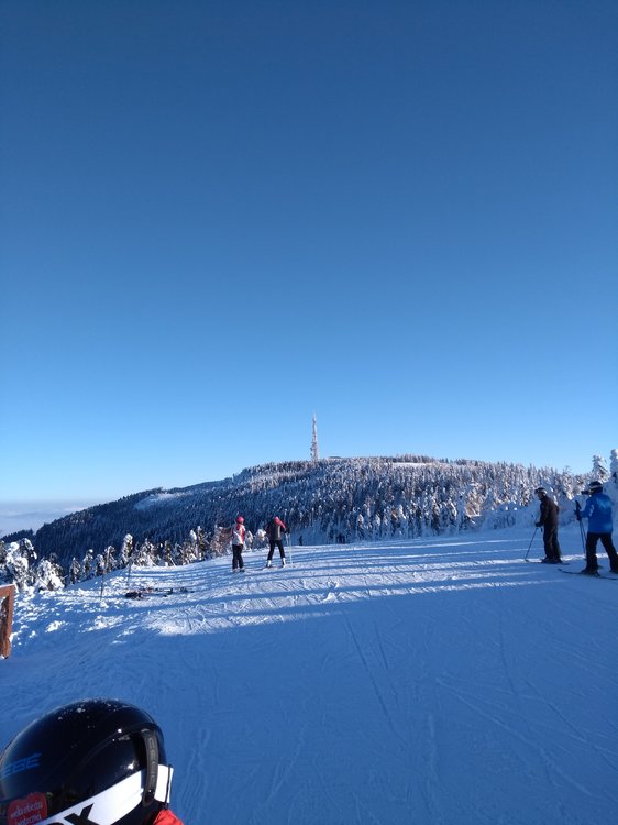 IMG_20190123_090727618.jpg
