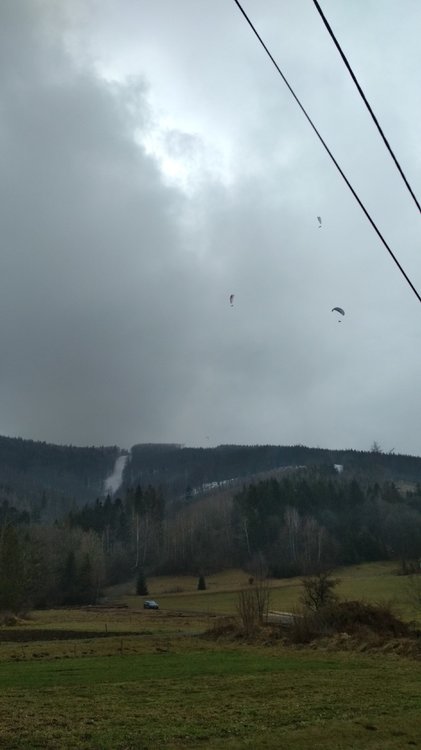 IMG_20190302_115508.jpg